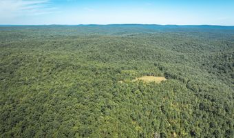 470 County Road 118, Annapolis, MO 63670