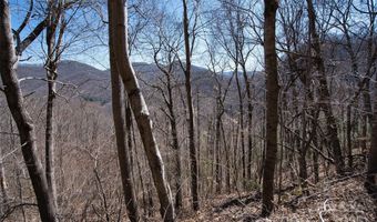 11 Taryn Trce 16, Barnardsville, NC 28709