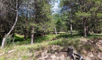 ALUM SPRINGS RD, Basye, VA 22810
