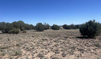 310 Un Named Rd, Ash Fork, AZ 86320