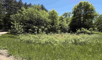ARROWHEAD ROAD lot 16, Amherst Junction, WI 54407