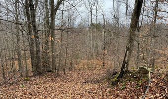 RT 64 Braden Hill Rd, Alma, WV 26320
