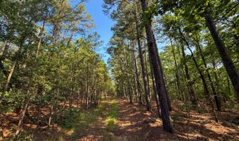 Old Moyers Road, Antlers, OK 74523