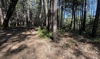 Agness-Illahe Rd, Agness, OR 97406