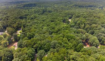 1322 Center Dr, Auburn, GA 30011