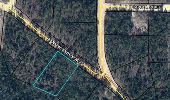 E Canyonlands Street, Alford, FL 32420