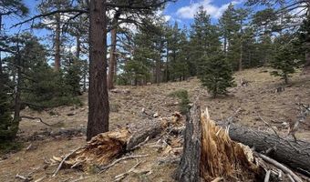 636 Mountain Center 35-0002, Mountain Center, CA 92561