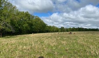 1307 Route Af, Ava, MO 65608