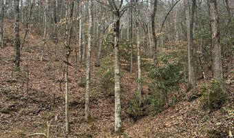 Tatham Gap Road, Andrews, NC 28901