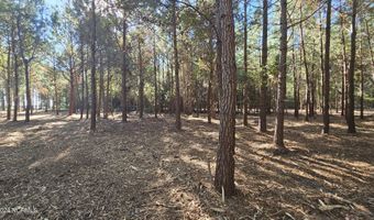22 Peterson Creek Rd, Aurora, NC 27806