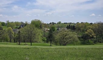 14 A20 Marina Vw, Apple River, IL 61001