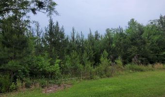 Peterson Lane, Bay Minette, AL 36507