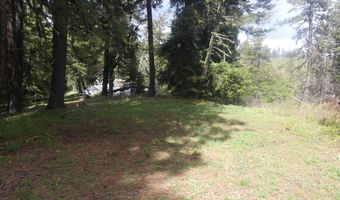 001 Hansen Ridge Rd, Anatone, WA 99401