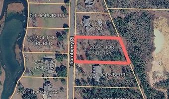 205 Thornberry Pl, Ashford, AL 36312