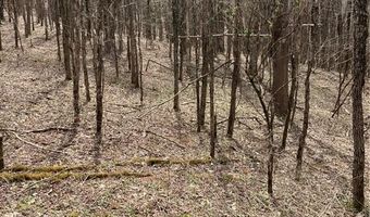 Tbd Old Mountain Road, Banner Elk, NC 28604