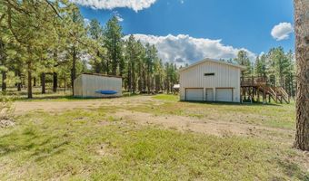 41 Susan Ln, Angel Fire, NM 87710