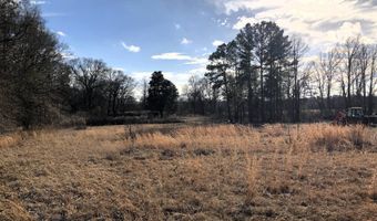 1071 LR 3, Ashdown, AR 71822