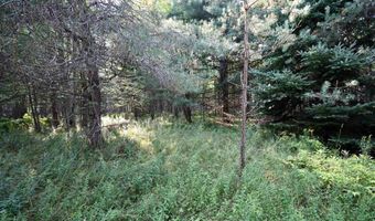 9537 LAKEVIEW Rd, Alanson, MI 49706