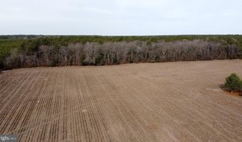 21063 WILSON Rd, Georgetown, DE 19947