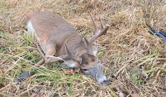 271 18 Acres Zwettler/Foster Rd, Arena, WI 53503