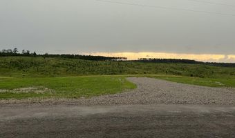 0 Otis Paine Rd, Bethel Springs, TN 38315