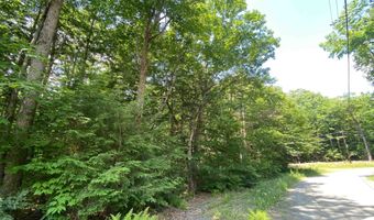 Tyler Way 34, Bath, NH 03740