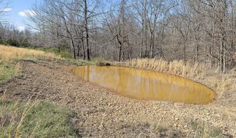 2259 Racetrack Hollow Rd, Anderson, MO 64831