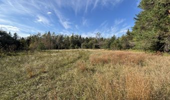 5280 Cathro Rd, Alpena, MI 49707