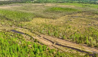 TBD Alligator Road, Bamberg, SC 29843