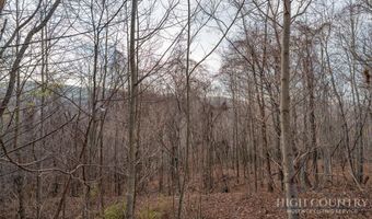 Larkspur Trail lot 33, Banner Elk, NC 28604