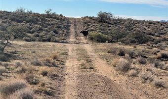 N Lost Mine Drive, Chloride, AZ 86431