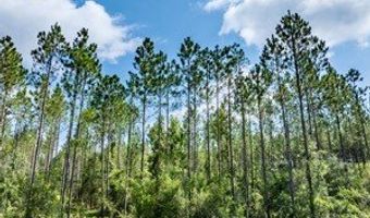 542 Lilla B Gaskins Rd, Alapaha, GA 31622