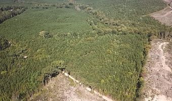 18 62 Ac Squirrell Hollow Rd, Alberta, VA 23821