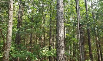Wilkins Road, Alton, VA 24520