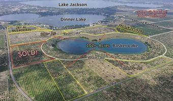 1115 Basket Lake Rd, Avon Park, FL 33825