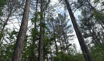 2780 Jackson Liberty Rd, Bogue Chitto, MS 39629