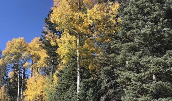 Lot 22 Hinz Drive, Angel Fire, NM 87710