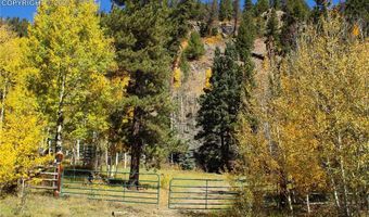 38938 Nf-250 Rd, Antonito, CO 81120