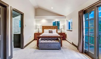1095 QUARTZVILLE, Alma, CO 80440