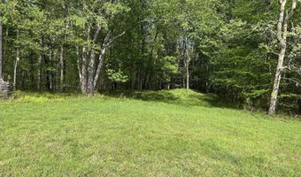 TBD McNair Road, Albright, WV 26519