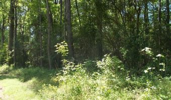 71 SWINDLE Dr Lot 1, Adamsville, AL 35005