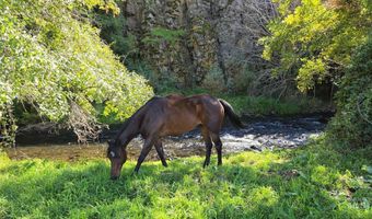 13761 Asotin Creek Rd, Asotin, WA 99402