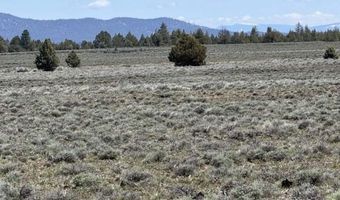 Oregon Pines Road, Beatty, OR 97621