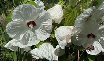 315 Woody Rd NW, Adairsville, GA 30103