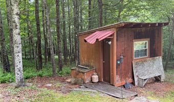 253 Davis Hollow Rd, Andes, NY 13731