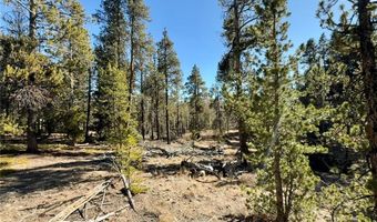 235 WILLOW Ln, Alma, CO 80440