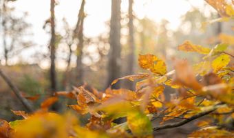 249 W Chapman Rd, Belton, SC 29627