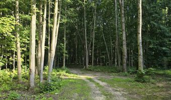 212 3rd Ave, Alden, MI 49646