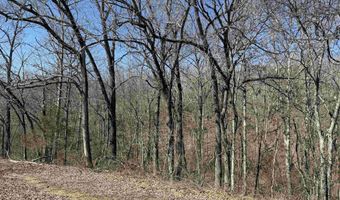 36 Highway 354, Ash Flat, AR 72513