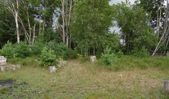 S Forest Lake, Alger, MI 48610